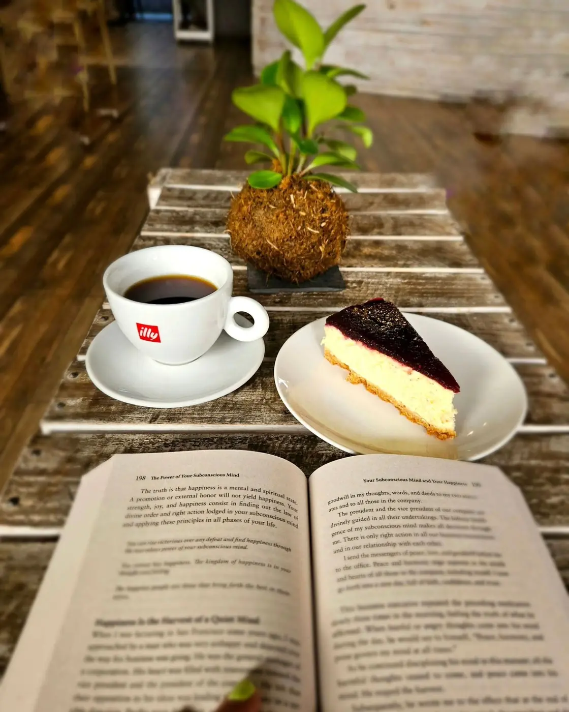 Cheesecake, coffee and a book